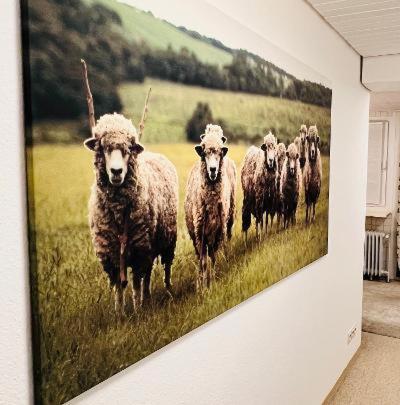 Apartmán Residenz Goslarsche Strasse Bad Harzburg Exteriér fotografie